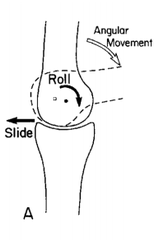 tt2dEGTxDc5qVAsmMujyRA_m